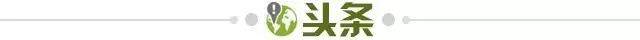 MK体育-【早报】今夜没有奇迹！巴黎马竞晋级欧冠四强